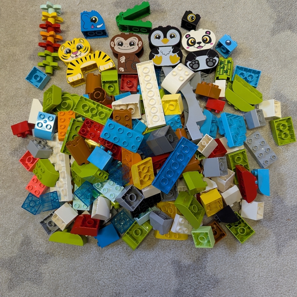 Lego Duplo Building Blocks 160 Pieces